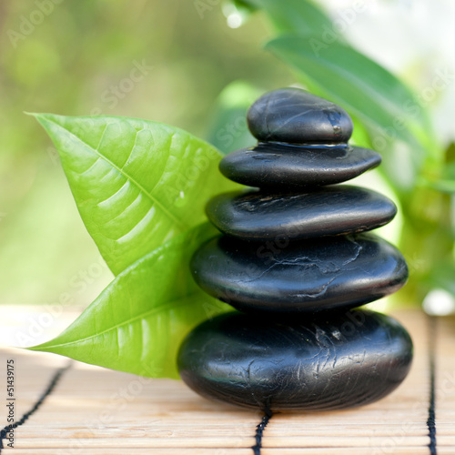 Photo: Wellness Wellness