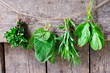 Mint, sage, tarragon and spinach on a wooden background