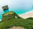 Cove and vegetation