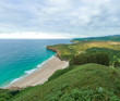 Cove and vegetation