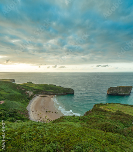 Photo: Cove and vegetation Cove and vegetation