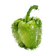 Green sweet pepper of blots vector