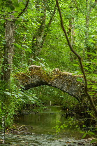 Photo: Picturesque old bridge Picturesque old bridge