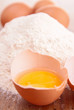 Photo: close up on egg close up on egg
