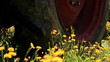 a tractor cuts the grass