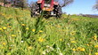 a tractor cuts the grass