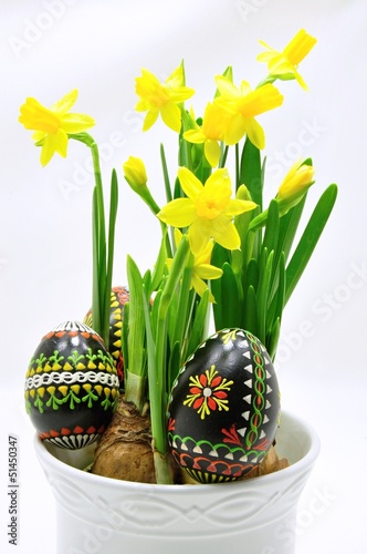 Photo: Daffodils Daffodils