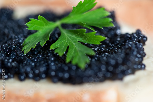 Photo: Black caviar on a slice of bread with parsley Black caviar on a slice of bread with parsley