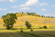 Crete senesi, characteristic landscape in Val d'Orcia