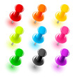 Punaises couleurs