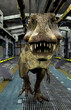 T-Rex in sci tube