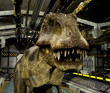 T-Rex in sci tunnel close up
