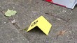 Pan over Crime scene