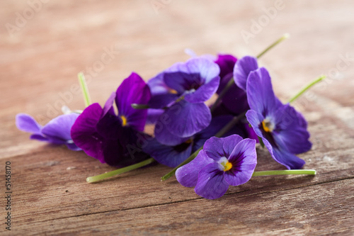 Photo: Pile of violet eatable flowers Pile of violet eatable flowers