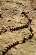Disparition (III)