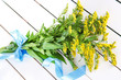 Bouquet of mimosa on wooden background