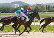 Horse racing.