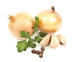 Onion and garlic clove isolated on white background