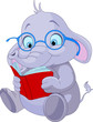 Cute Elephant Education