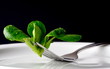 Feldsalat
