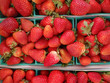 Strawberries displayed in square light blue plastic baskets