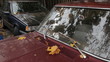 Old red car. Autumn leaves reflected in the windshield.