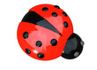 LADYBUG - 3D