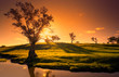 Photo: Sunset Creek Sunset Creek