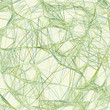 Abstract Colorful lines on neutral. EPS 8