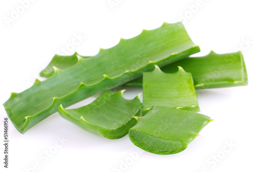 Photo: Aloe vera Aloe vera