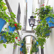 Calleja de las Flores