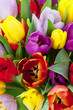Tulpenstrauss