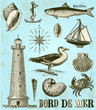 Bord de mer