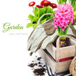 Colorful flowers and garden tools