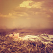 beautiful blonde is in a magical place in the meadow