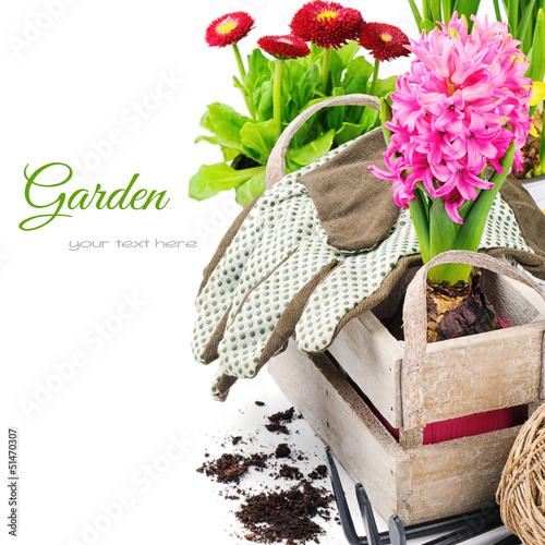 Photo: Colorful flowers and garden tools Colorful flowers and garden tools