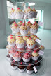 Elegant cupcakes exposed in a confectionery