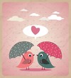 Love Birds.Vector