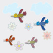 birds and summer