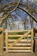gate