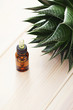Foto: aloe vera essential oil aloe vera essential oil