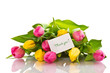 Beautiful bouquet of tulips