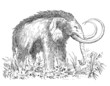 Mammouth - Prehistory