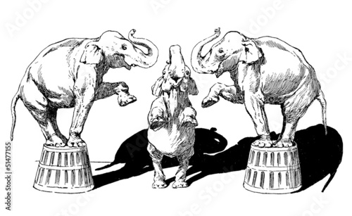 Illustration: 3 Circus Elephants 3 Circus Elephants