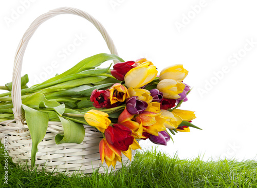 Photo: Basket of Tulips isolated on white background. Bouquet of tuli Basket of Tulips isolated on white background. Bouquet of tuli