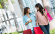 Happy female shoppers