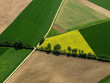 Feld
