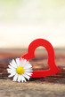 Foto: Heart Heart