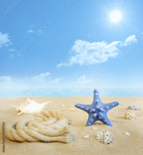 Photo: Starfish on the beach on sand with shells background concept Starfish on the beach on sand with shells background concept