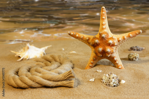 Photo: Starfish on the beach on sand with shells background concept Starfish on the beach on sand with shells background concept